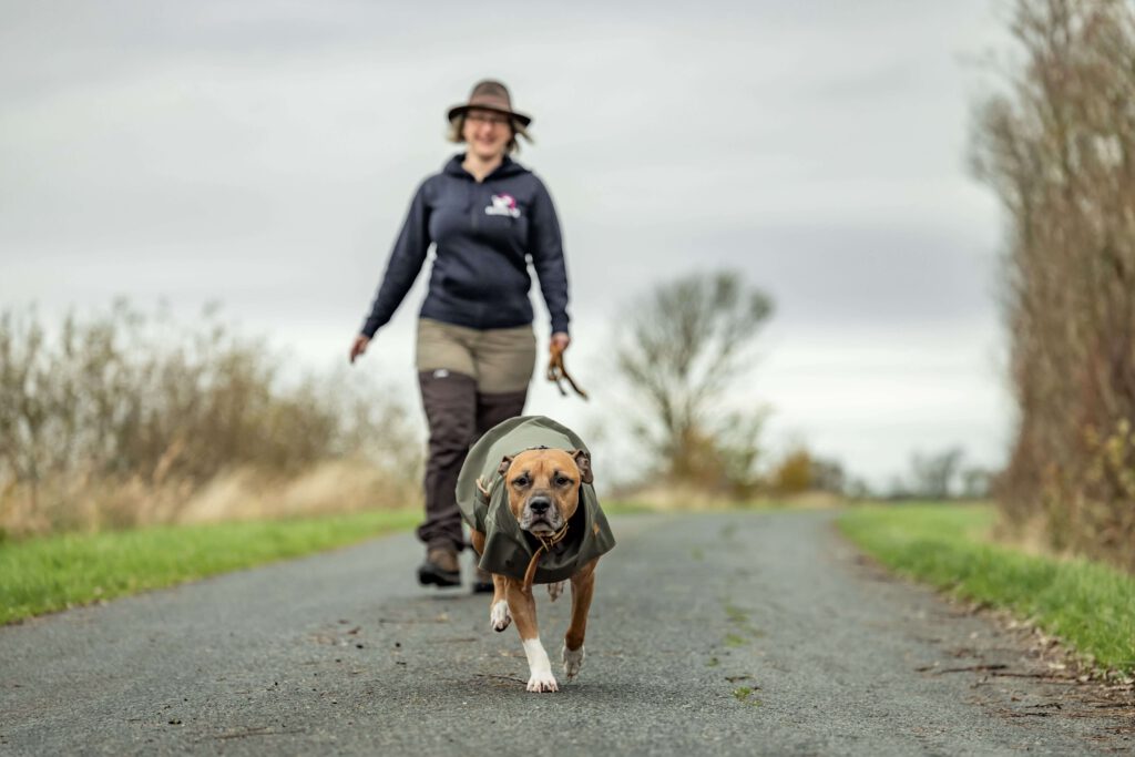 Hundekiez Hundeschule Hundepension Hunde und Trainerin