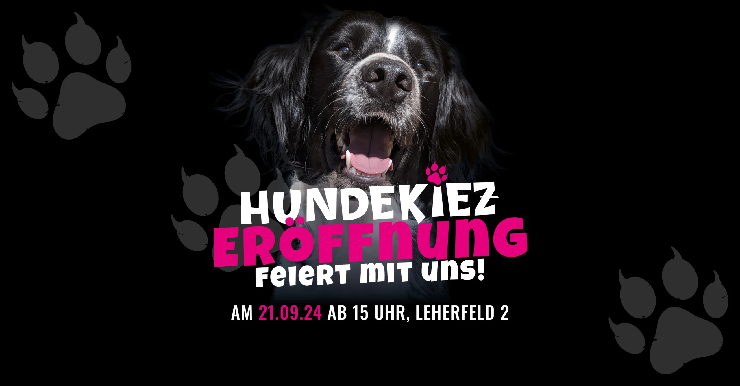 Du betrachtest gerade 21.09 Hundekiez Eröffnungsfeier!